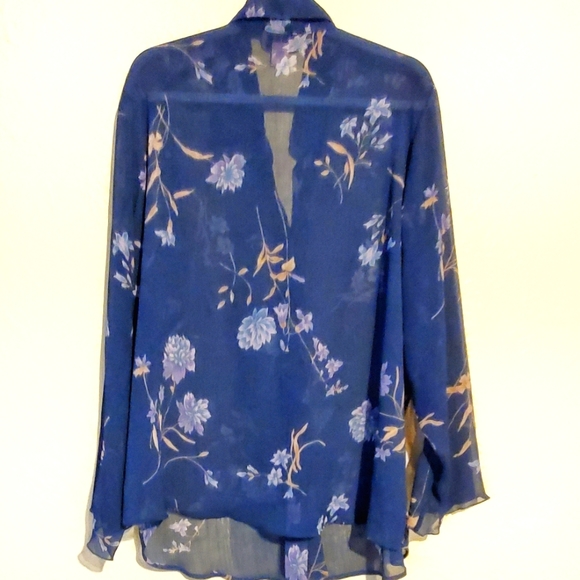 Erena 2X beautiful semi sheer button Front blouse. - Picture 4 of 4